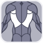 18 Back Isolation Exercises For Your Workout (Sample Program) – Fitbod