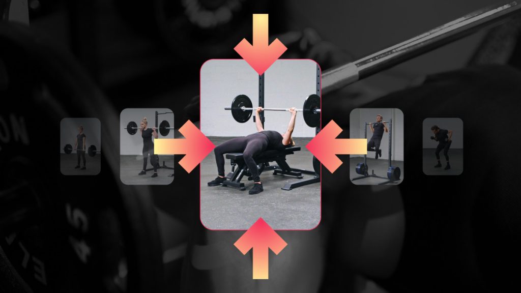 Fitbod Focus Exercises